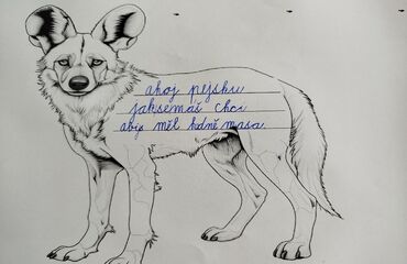 PROJEKT „PŘEŽIJÍ“ – PES HYENOVÝ