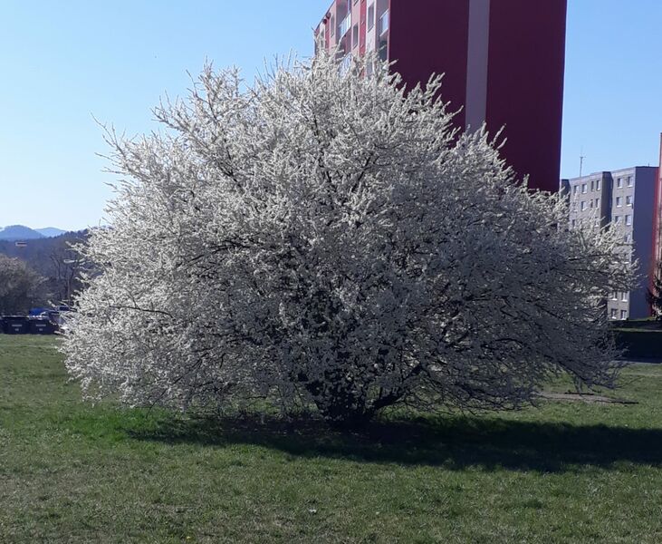 Výuka v přírodě