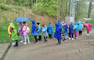 Základní škola, Česká Lípa, 28. října 2733, příspěvková organizace