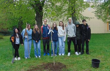 Základní škola, Česká Lípa, 28. října 2733, příspěvková organizace