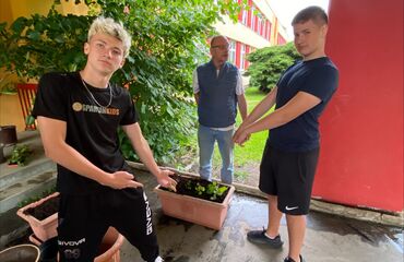 Základní škola, Česká Lípa, 28. října 2733, příspěvková organizace