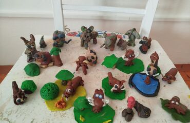 Prase bradavičnaté očima žáků 2.B