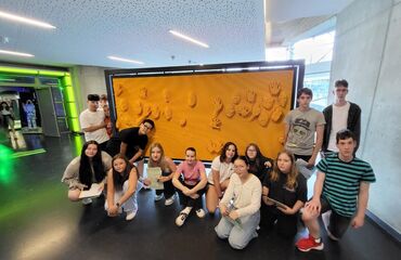 Základní škola, Česká Lípa, 28. října 2733, příspěvková organizace
