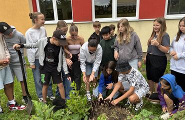 Třídní stromy a keře vysazeny