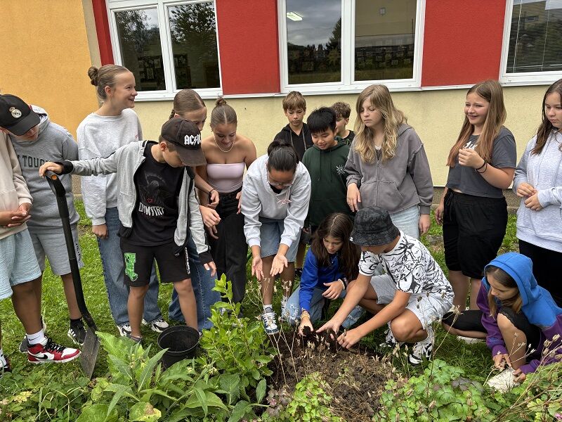 Třídní stromy a keře vysazeny