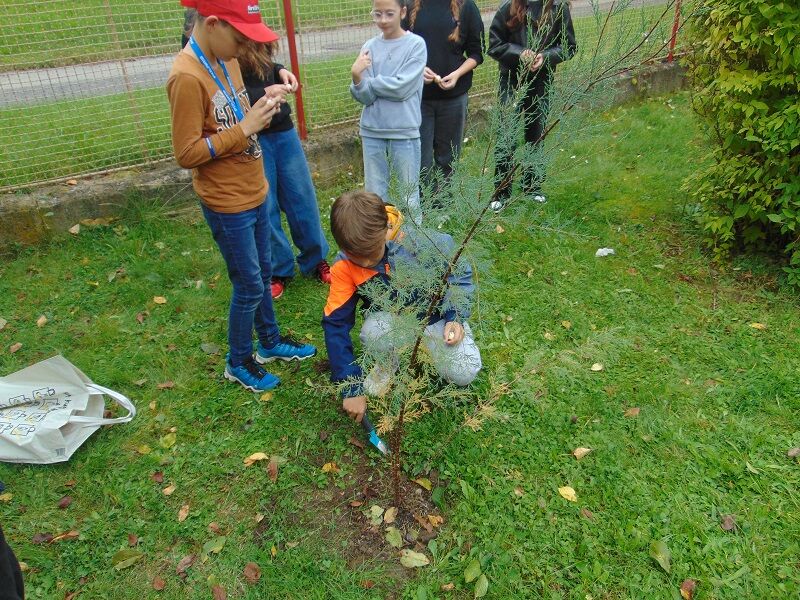 Vysazujeme a ochutnáváme