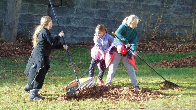 Podzimní práce v areálu školy