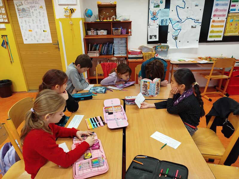 Pán jižních lesů - fascinující život zoborožce jihoafrického