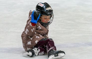 Základní škola, Česká Lípa, 28. října 2733, příspěvková organizace