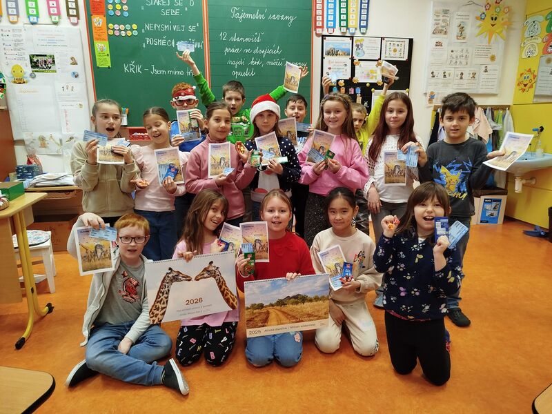 Cesta ze savany plná hádanek