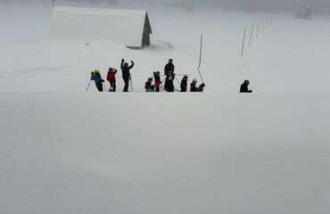 Základní škola, Česká Lípa, 28. října 2733, příspěvková organizace