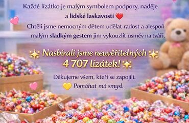 Základní škola, Česká Lípa, 28. října 2733, příspěvková organizace