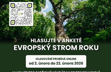 Základní škola, Česká Lípa, 28. října 2733, příspěvková organizace