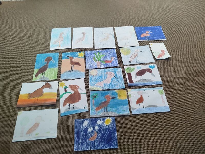 Pod africkým nebem -  Tajemství ptáka s hlavou kladiva 