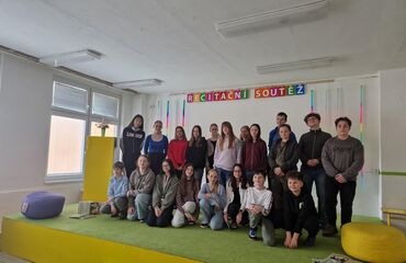 Základní škola, Česká Lípa, 28. října 2733, příspěvková organizace