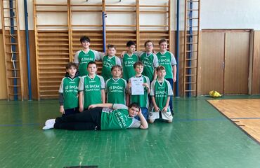 Základní škola, Česká Lípa, 28. října 2733, příspěvková organizace