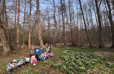 Základní škola, Česká Lípa, 28. října 2733, příspěvková organizace