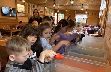 Základní škola, Česká Lípa, 28. října 2733, příspěvková organizace