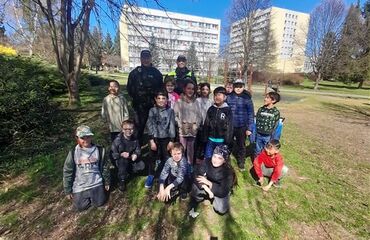 Základní škola, Česká Lípa, 28. října 2733, příspěvková organizace