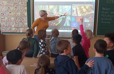 Základní škola, Česká Lípa, 28. října 2733, příspěvková organizace