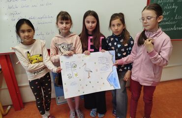 Základní škola, Česká Lípa, 28. října 2733, příspěvková organizace