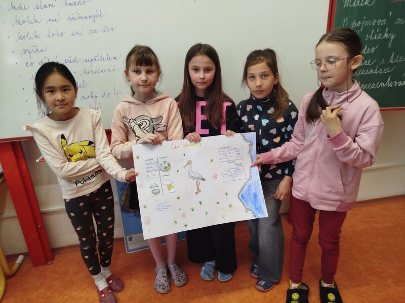 Šepot mokřadů a slunce aneb když kráčí nesyt