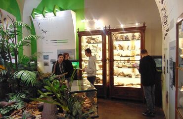 Základní škola, Česká Lípa, 28. října 2733, příspěvková organizace