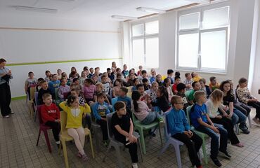 Základní škola, Česká Lípa, 28. října 2733, příspěvková organizace