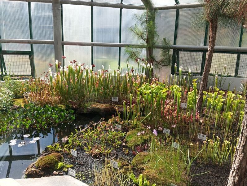 Smyslové vodohrátky v Botanické zahradě