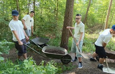 Základní škola, Česká Lípa, 28. října 2733, příspěvková organizace