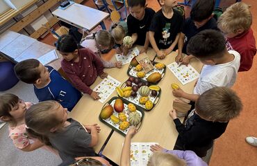 Základní škola, Česká Lípa, 28. října 2733, příspěvková organizace