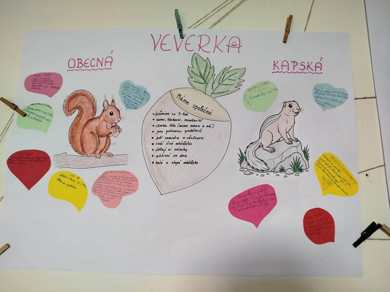 Ocas jako slunečník aneb čtvrťáci na stopě chlupatých záhad