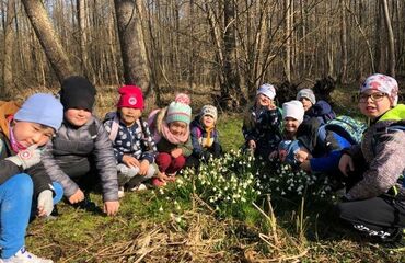 U potoka roste kvítí, říkají mu petrklíč…