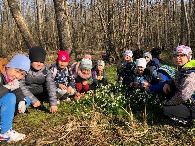U potoka roste kvítí, říkají mu petrklíč…