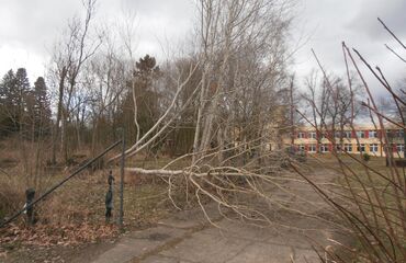 Škola po bouři...