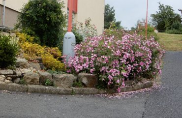 Obrázek galerie