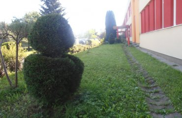 Obrázek galerie