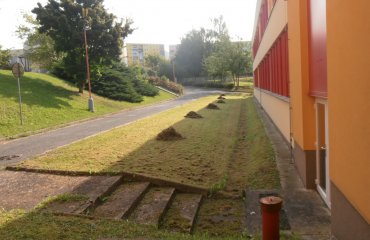 Obrázek galerie