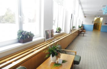 Obrázek galerie