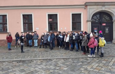 Obrázek galerie