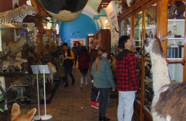 Obrázek galerie