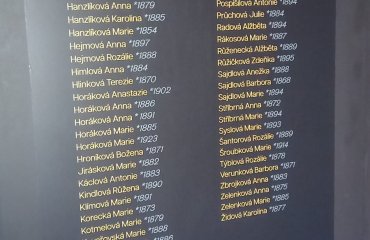 Obrázek galerie