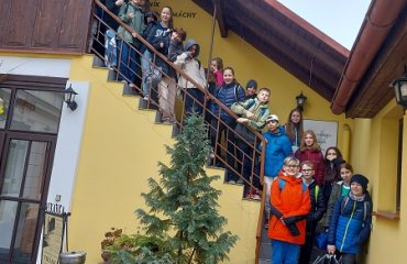 Obrázek galerie
