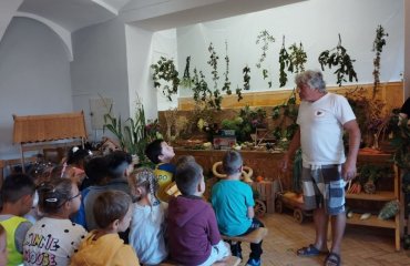 Obrázek galerie