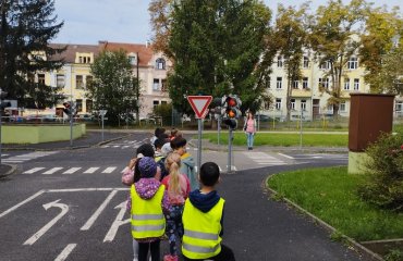 Obrázek galerie