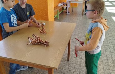 Obrázek galerie
