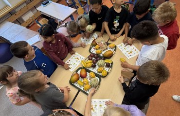Obrázek galerie