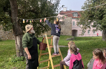 Obrázek galerie